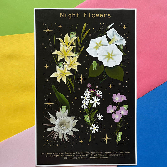 Night Flower Frog Print