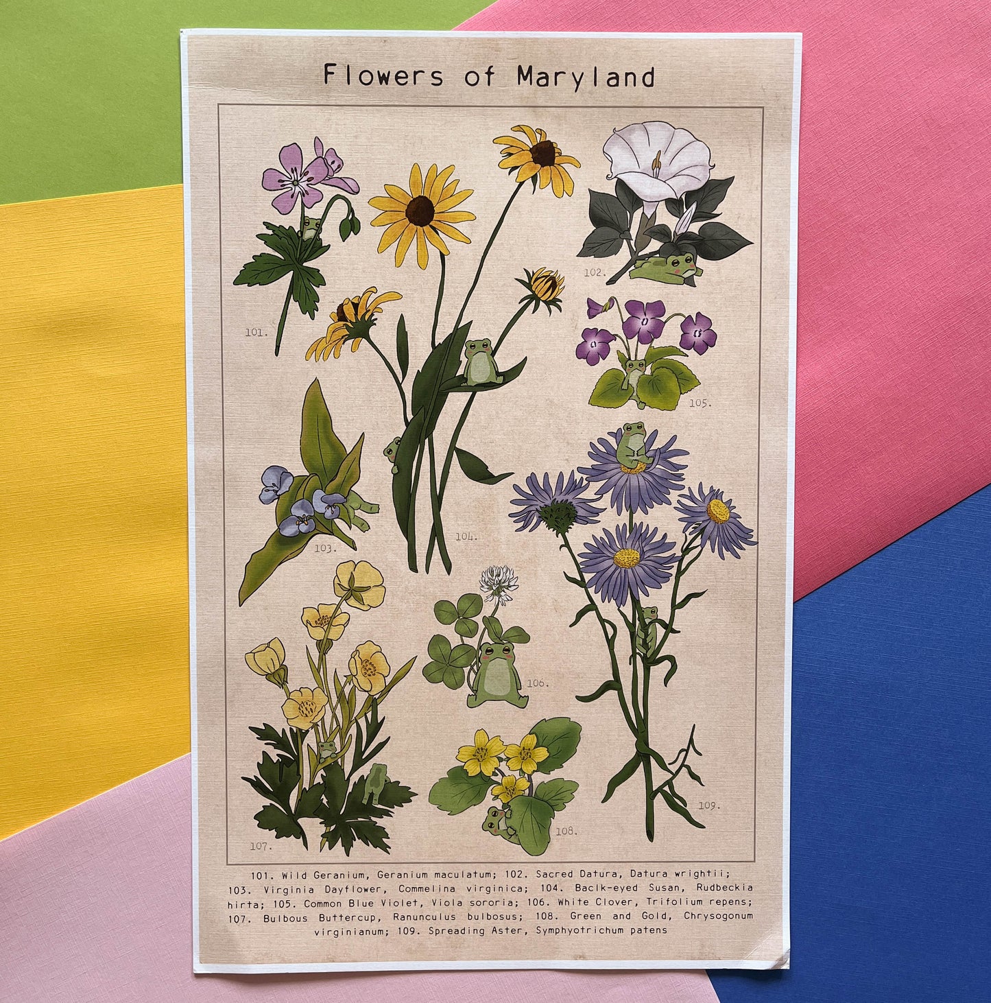 Flowers of Maryland Frog Print