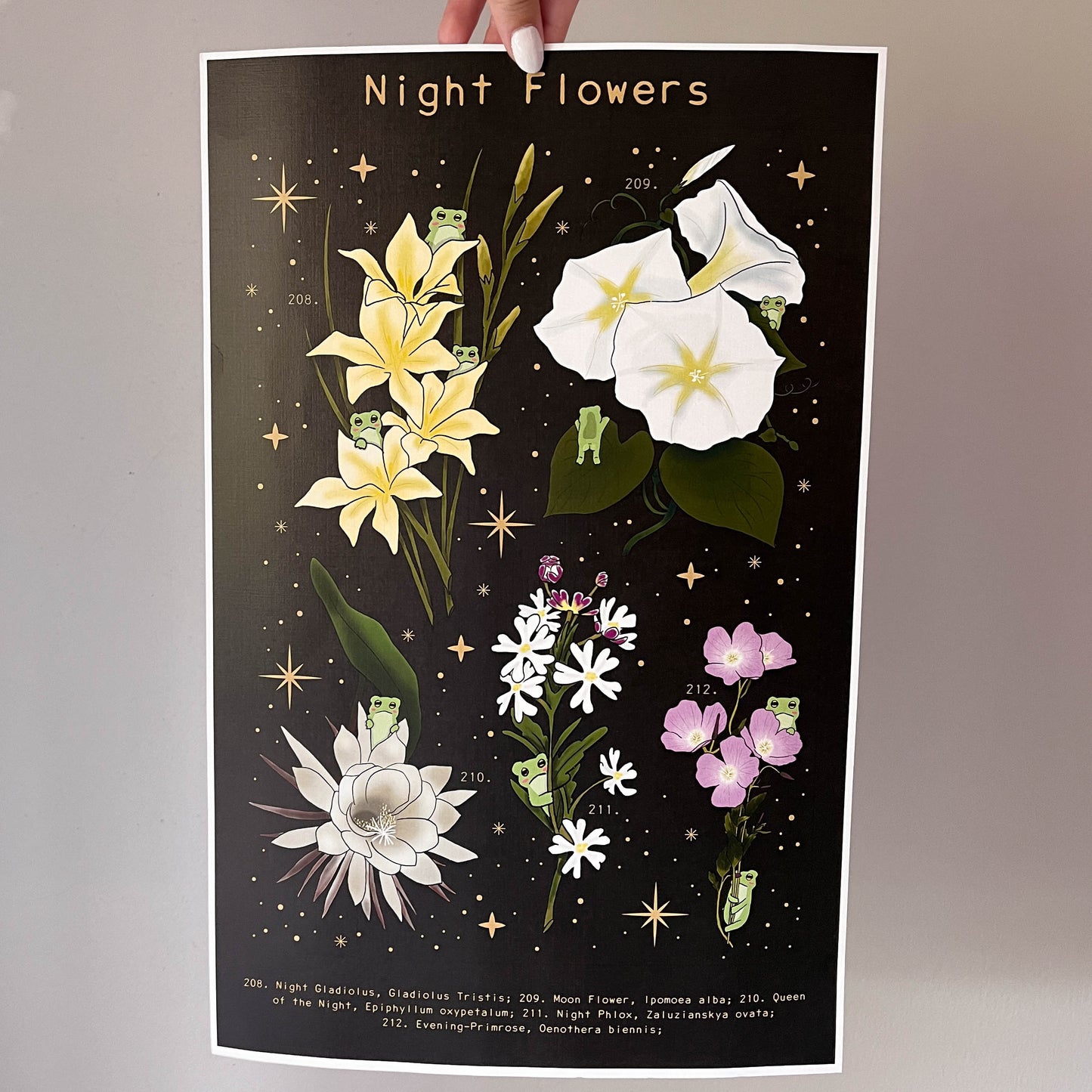 Night Flower Frog Print