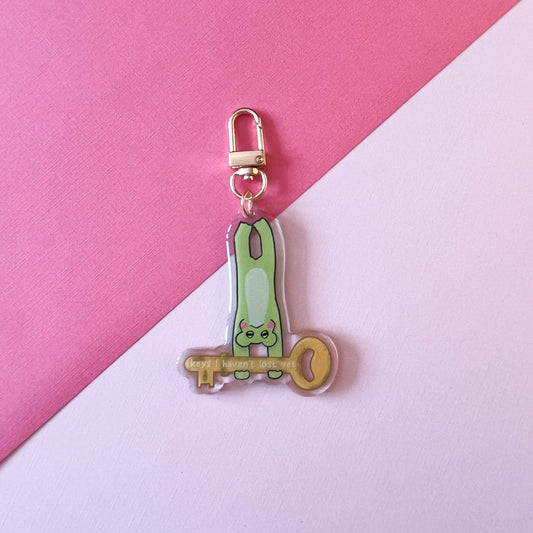 Key's I haven't Lost Keychain