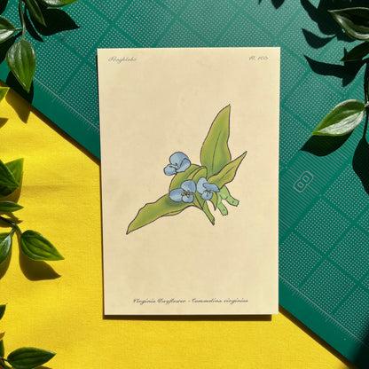 Frogs with Wild Flowers | Cute Vintage Botanical Frog Flower 4x6 Print Postcard