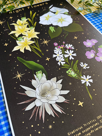 Night Flower Frog Print