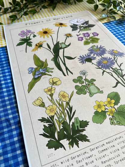 Flowers of Maryland Frog Print